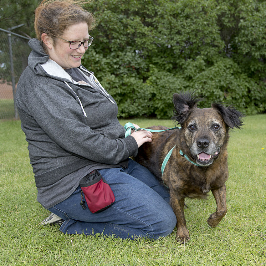 Bowser- Adopted!!