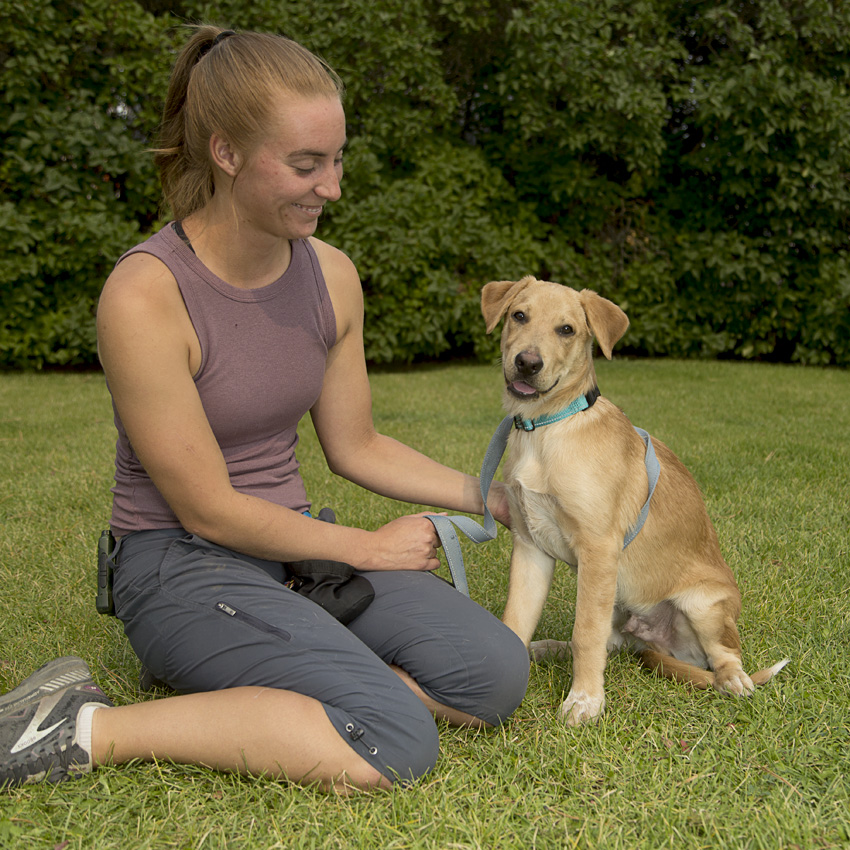 Thor- Adopted!!