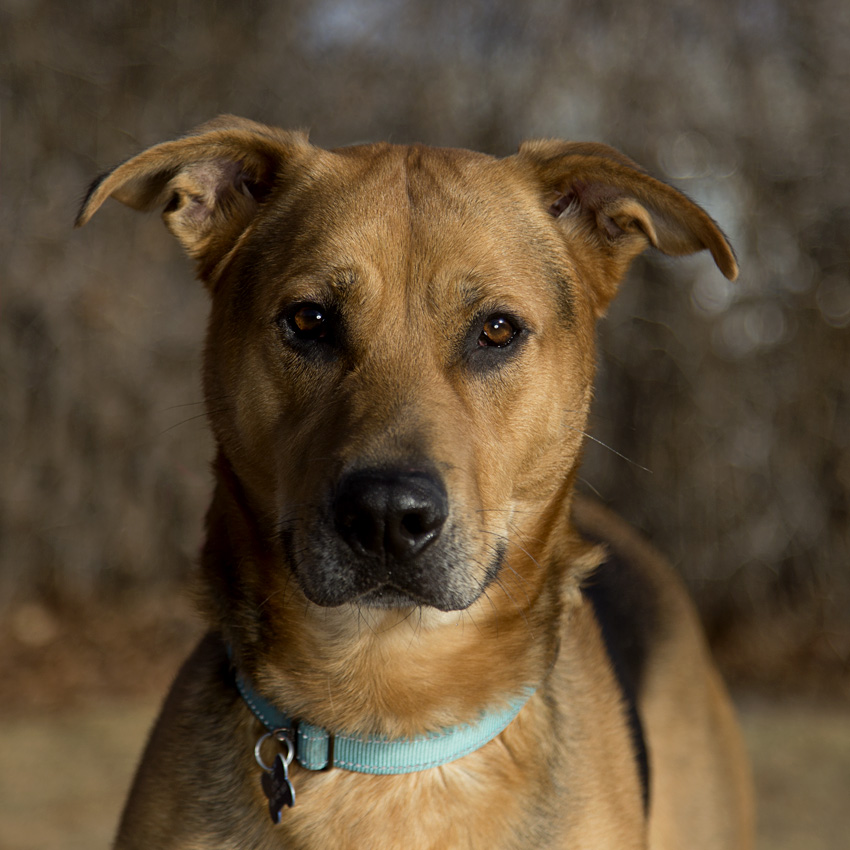 Hazel- I’m in foster care!