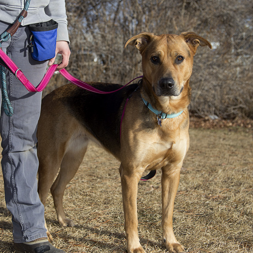 Hazel- I’m in foster care!