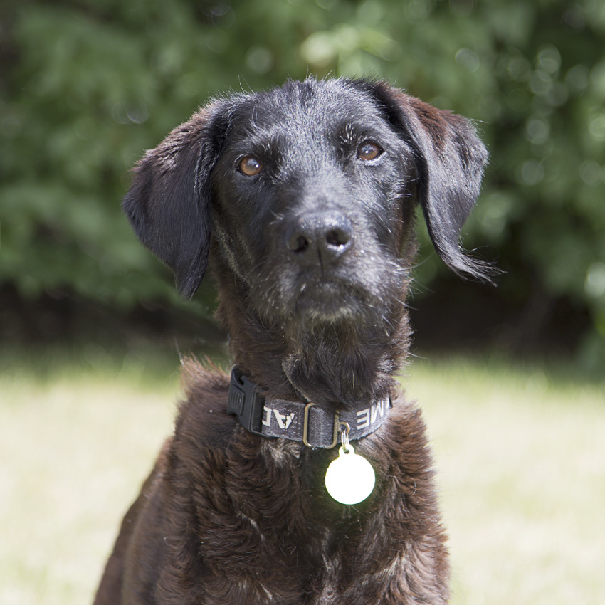 26-0707_1 Daisy