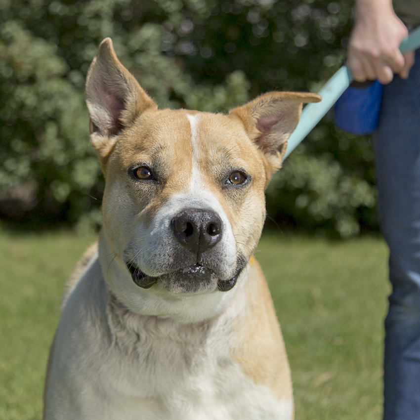 26-0814_1 Lola