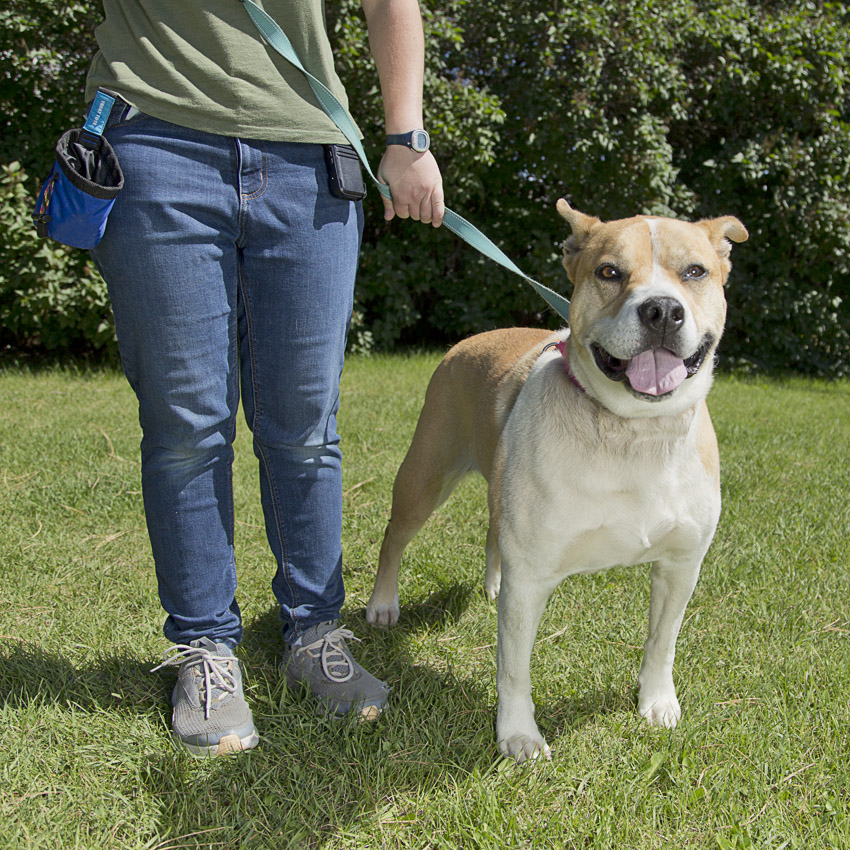 26-0814_2 Lola