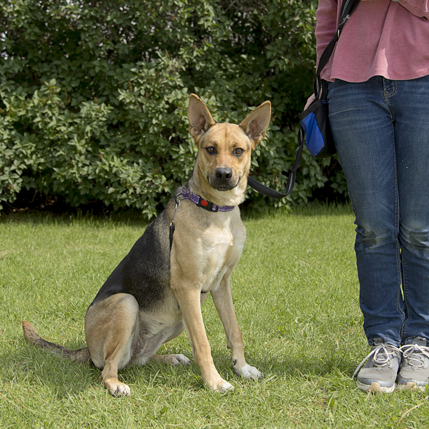 26-0878_2 Lucy