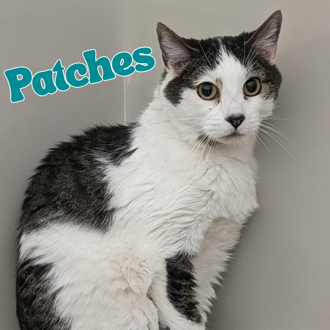 Patches