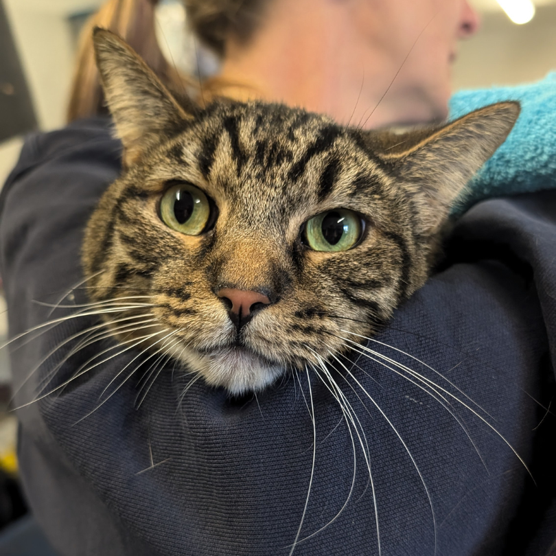 Artie – I’m in Foster Care!