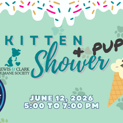 Kitten & Puppy Shower – Big Dipper Ice Cream