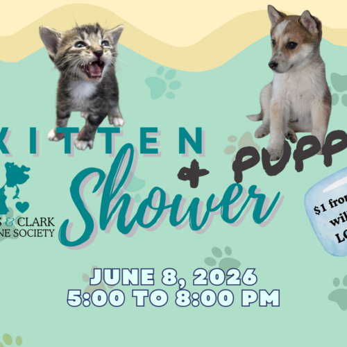 Kitten & Puppy Shower – Blackfoot River Brewing