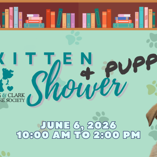 Kitten & Puppy Shower – Montana Book Company