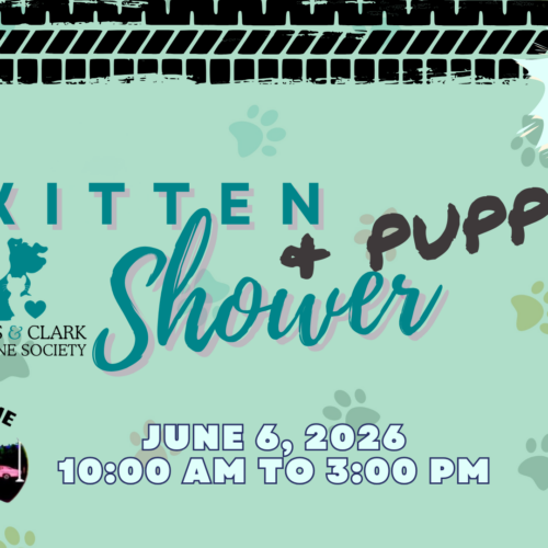 Kitten & Puppy Shower – Back in Time Car Show