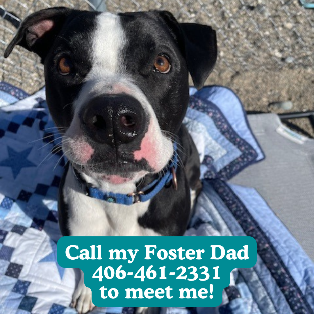Toby- I’m in foster care!