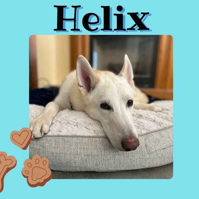 Helix