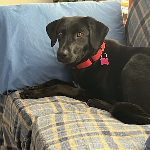 Mizzy – I’m in Foster Care