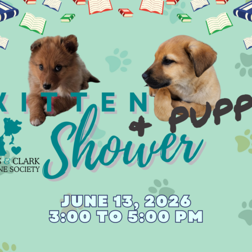 Kitten & Puppy Shower – Kids and Kittens at the Lewis & Clark Library