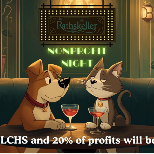 Non Profit Night at the Rathskeller