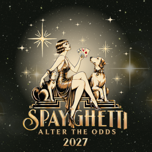 Spayghetti Dinner 2027
