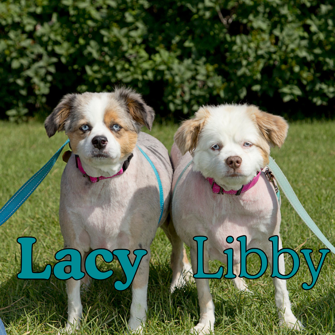 Lacy & Libby