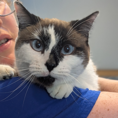 Liza – I’m at Petco!