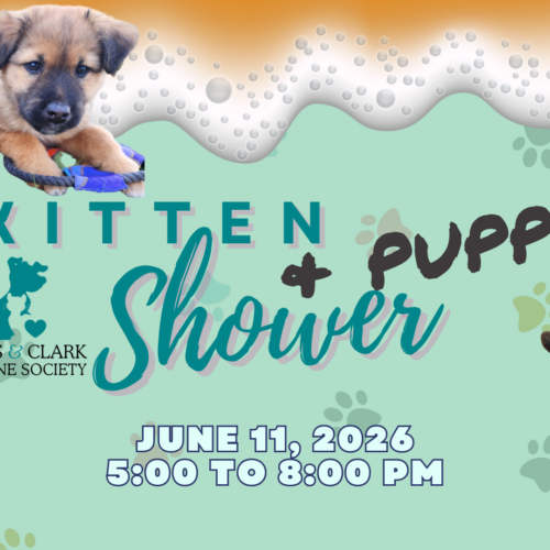 Kitten & Puppy Shower – Mt Ascension Gastropub