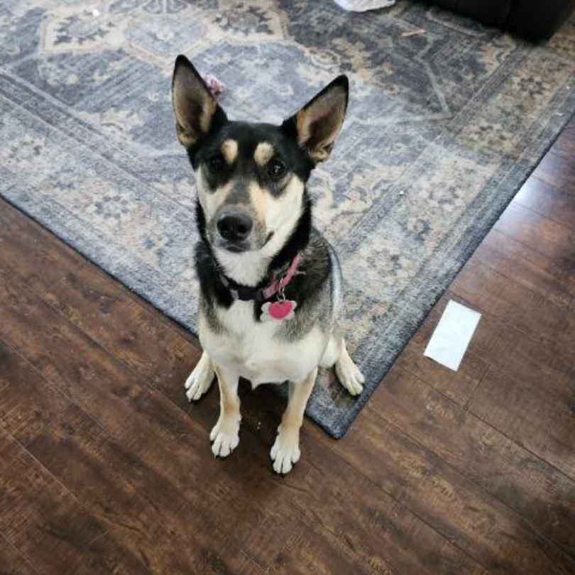 Josie