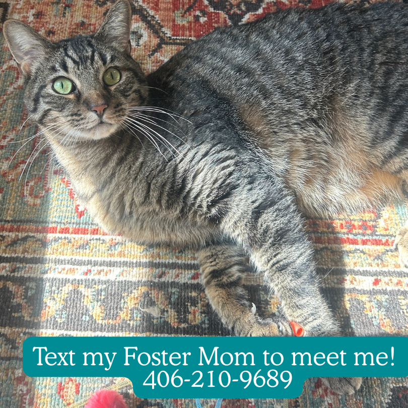 Artie – I’m in Foster Care!