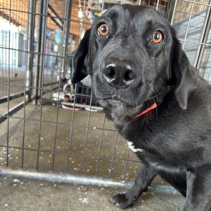 Mizzy – I’m in Foster Care